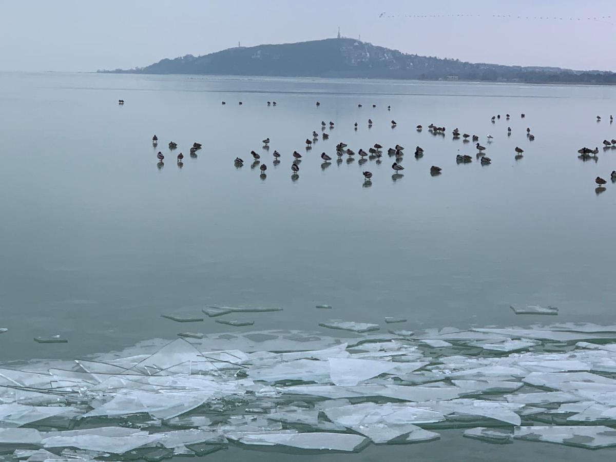 Topart Ii * Balatonfenyves